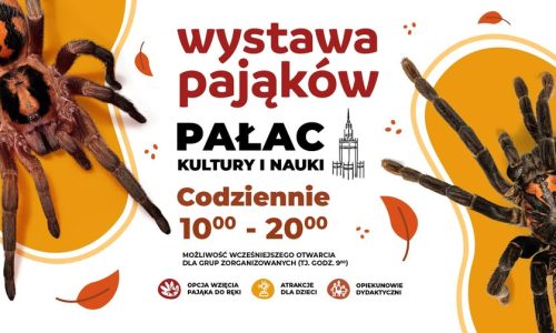 Wystawa Pająków w Pałacu Kultury i Nauki