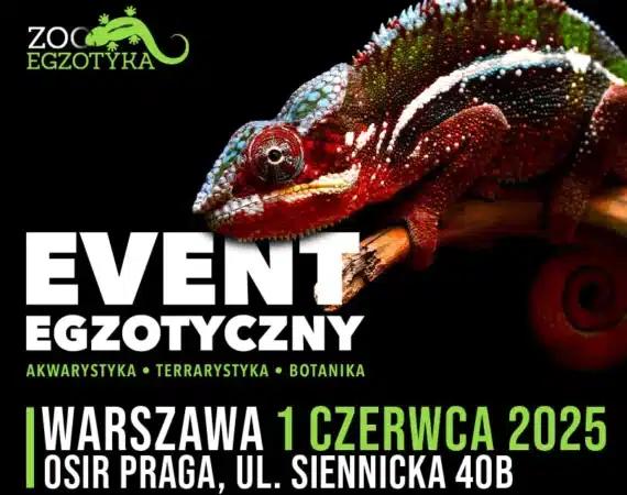 ZooEgzortka