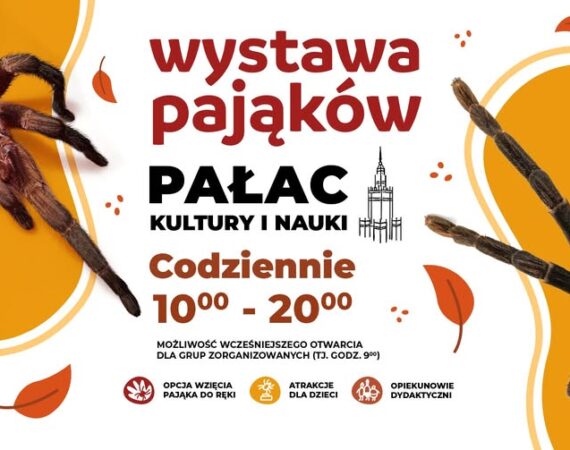 Wystawa Pająków w Pałacu Kultury i Nauki