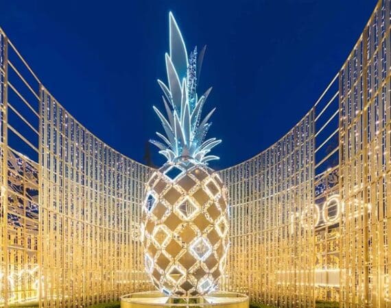 Rozświetlone Ogrody Ulricha