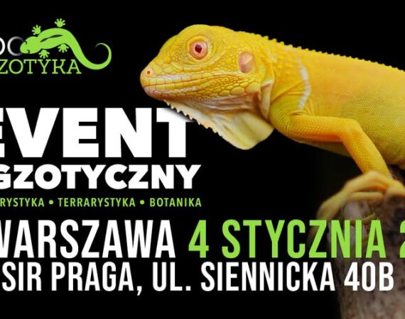 ZooEgzotyka