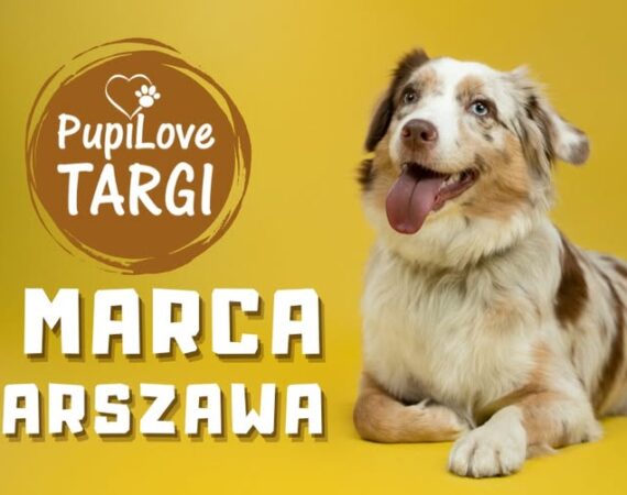 PupiLove Targi