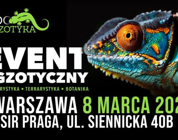 ZooEgzotyka