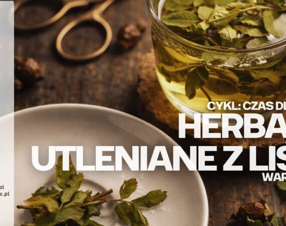 Herbaty utleniane z liści - warsztaty I Czas dla siebie