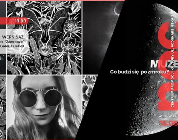 Noc Muzeów w CePeKu: Wernisaż Anna Grzesiak - Zamrocze