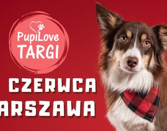 PupiLove Targi
