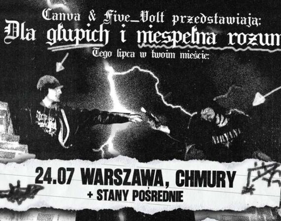 Five_Volt + Canva + Stany Posrednie