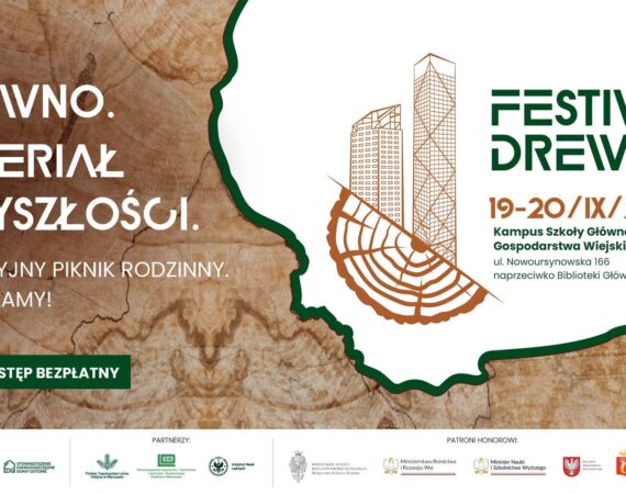 Festiwal Drewna | Edukacyjny Piknik Rodzinny