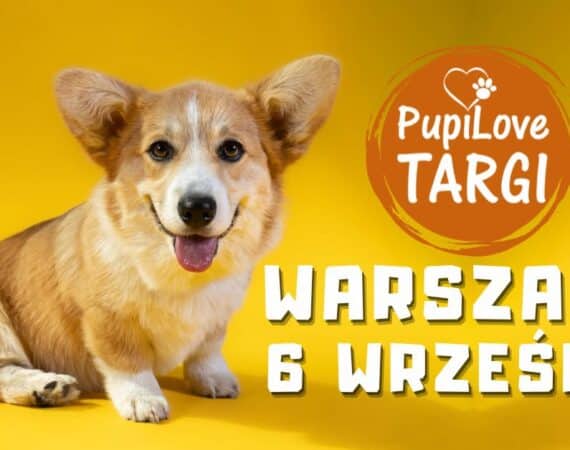 PupiLove Targi