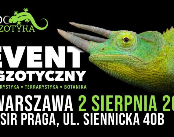 ZooEgzotyka