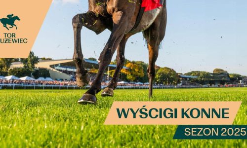 1744561611167.jpeg 1744561611167.jpeg