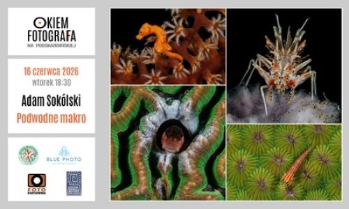Adam Sokólski: Podwodne makro / Okiem Fotografa na Podskarbińskiej