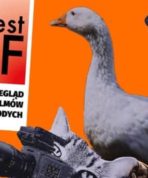 BEST OFF 2026 - 21. Przegląd Najlepszych Filmów Polskiego Kina Młodych