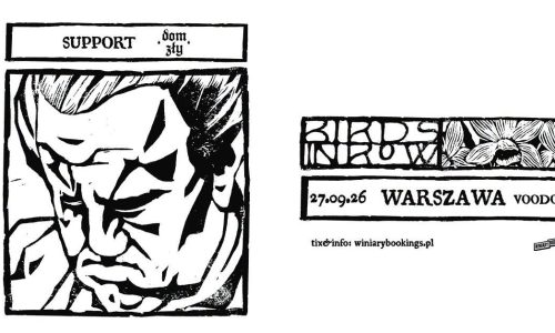 Birds in Row / koncert