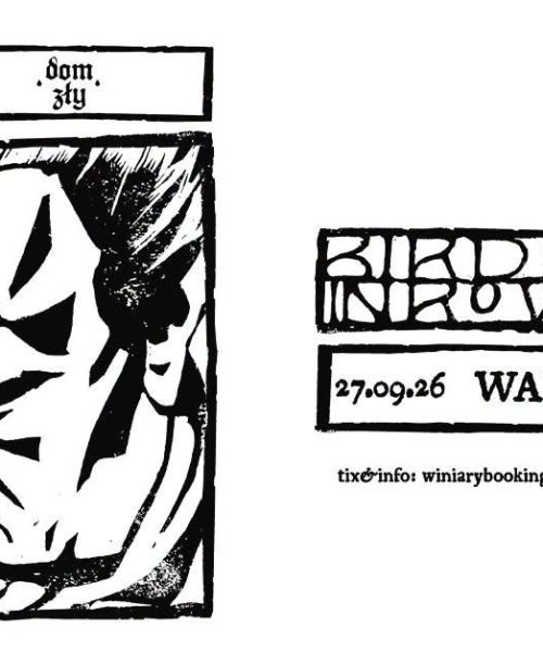 Birds in Row / koncert