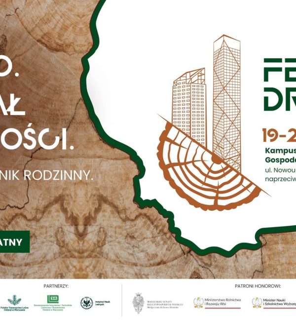 Festiwal Drewna | Edukacyjny Piknik Rodzinny