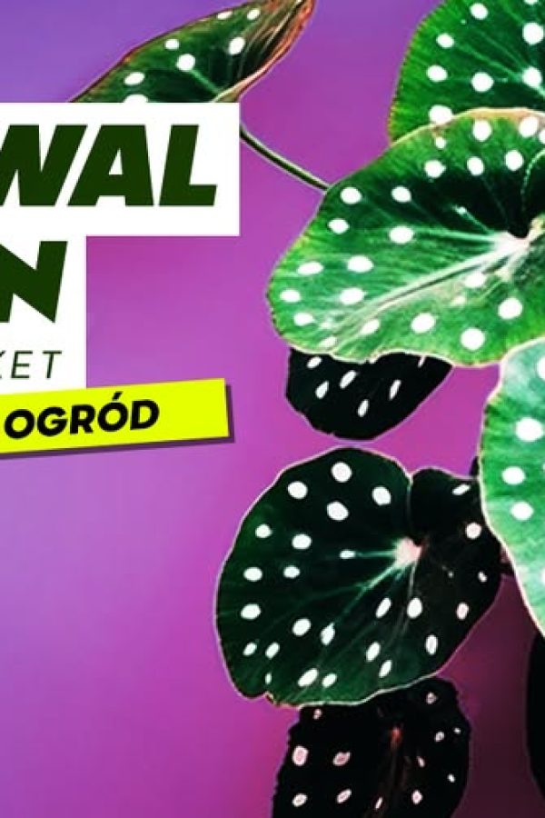 Festiwal Roślin na PGE Narodowym