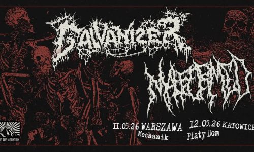 Galvanizer + Malformed / koncert