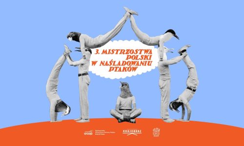III Mistrzostwa Polski w Naśladowaniu Ptaków
