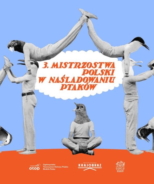 3-й чемпионат Польши по имитации птиц