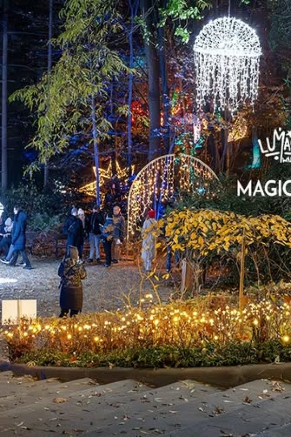 Lumagica | Magiczny Botaniczny - ogród świateł