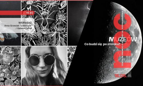 Noc Muzeów w CePeKu: Wernisaż Anna Grzesiak - Zamrocze