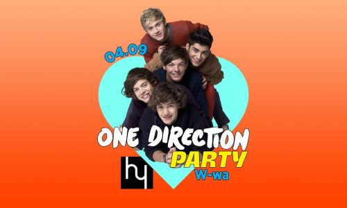 One Direction Party