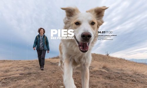 Pies bez problemu: wakacyjne spotkanie z psiakami!