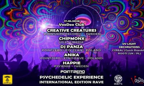Psychedelic Experience Rave International Edition