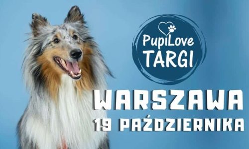 PupiLove Targi