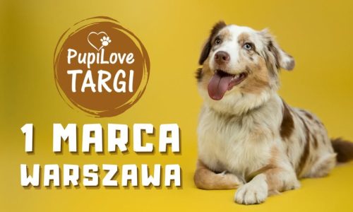 PupiLove Targi