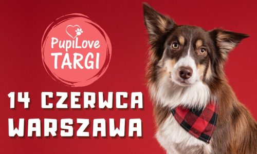 PupiLove Targi