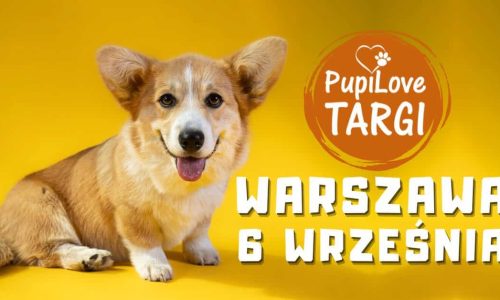 PupiLove Targi