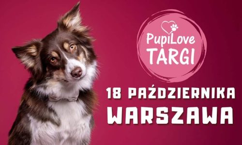 PupiLove Targi