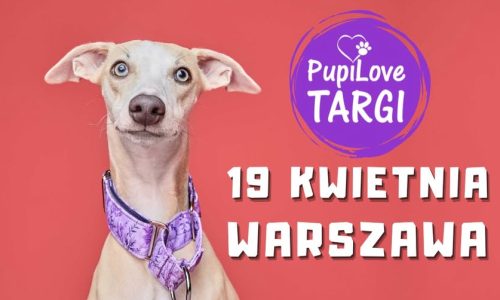 PupiLove Targi w Warszawie