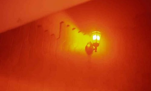 Salon: Cyryl, Mezer The Architect, Viennaus