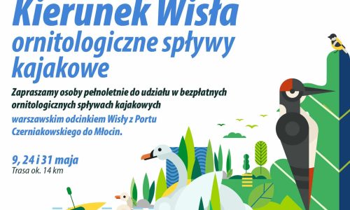 Spływ ornitologiczny warszawskim odcinkiem Wisły