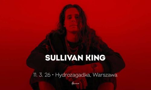 Sullivan King