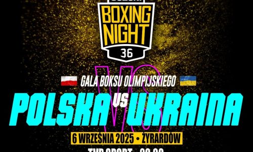 Suzuki Boxing Night