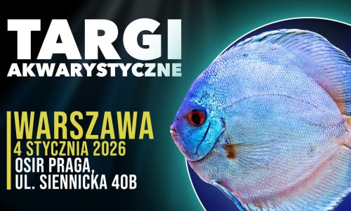 Targi akwarystyczne