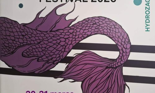 Vieux Crane - festiwal frankofonii #4 Old Skull