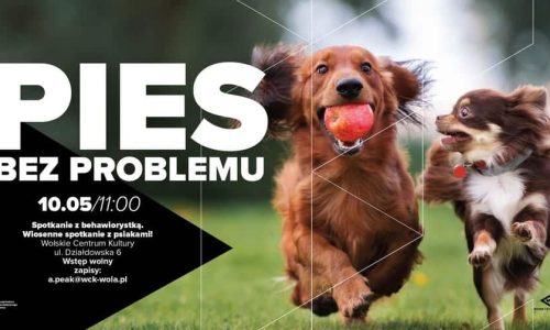 Warsztaty z psią behawiorystką: wiosenne spotkanie z psiakami