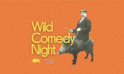 Wild Comedy Night | DZiK