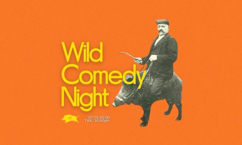Wild Comedy Night
