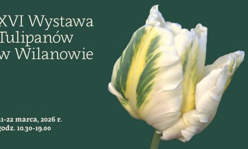 XVI Wystawa Tulipanów