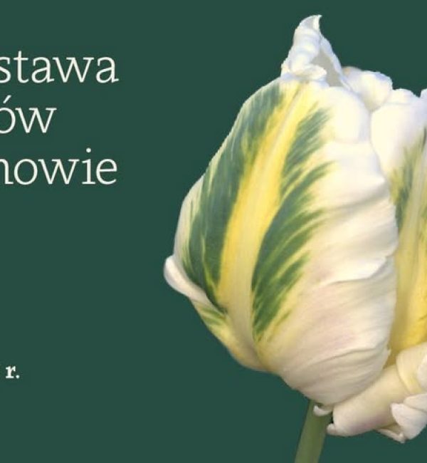 XVI Wystawa Tulipanów