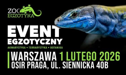 ZooEgzotyka 2026