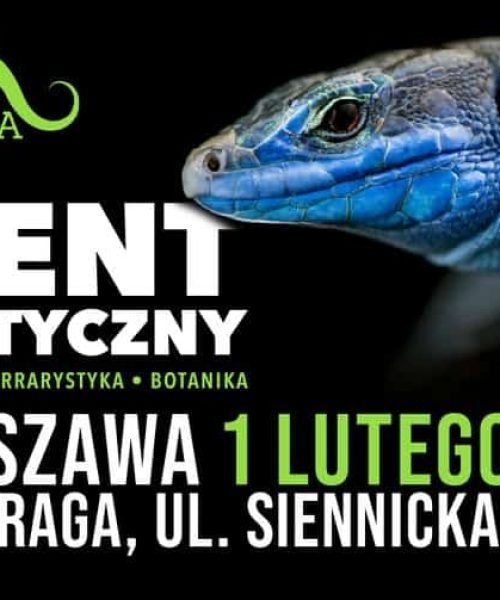 ZooEgzotyka 2026
