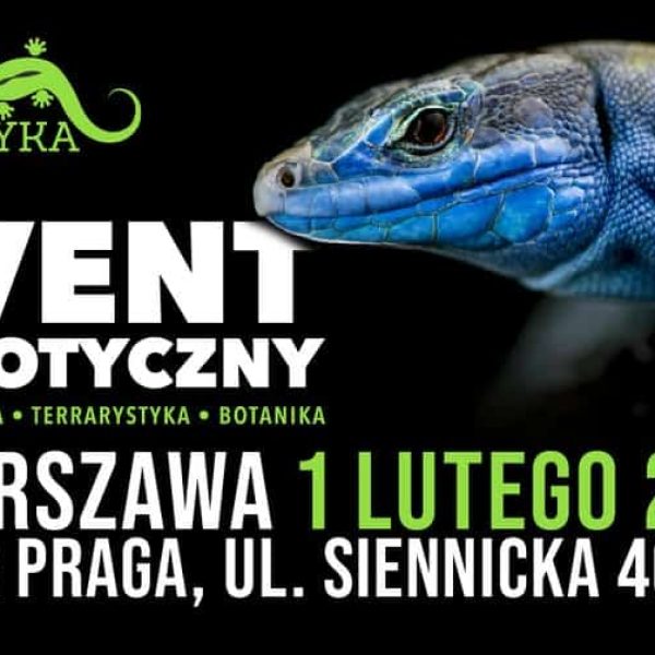 ZooEgzotyka 2026