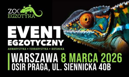 ZooEgzotyka